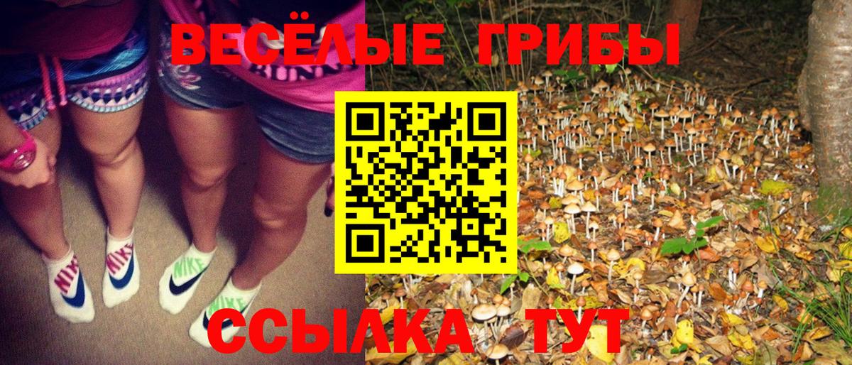 Галлюциногенные грибы прущие грибы Удомля