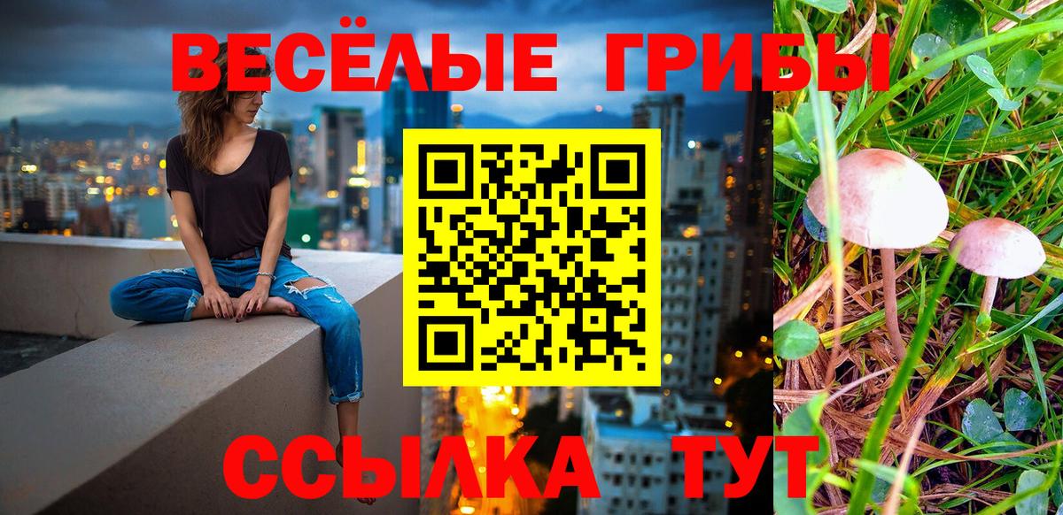 Псилоцибиновые грибы Magic Shrooms  Псилоцибиновые грибы Magic Shrooms  как найти   Удомля  Вход с VPN 