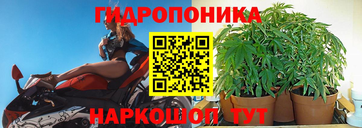 Канабис SATIVA & INDICA  Шишки марихуана MAZAR  Вход с VPN  Удомля 
